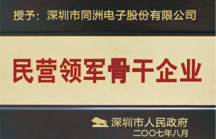 民营领军骨干企业